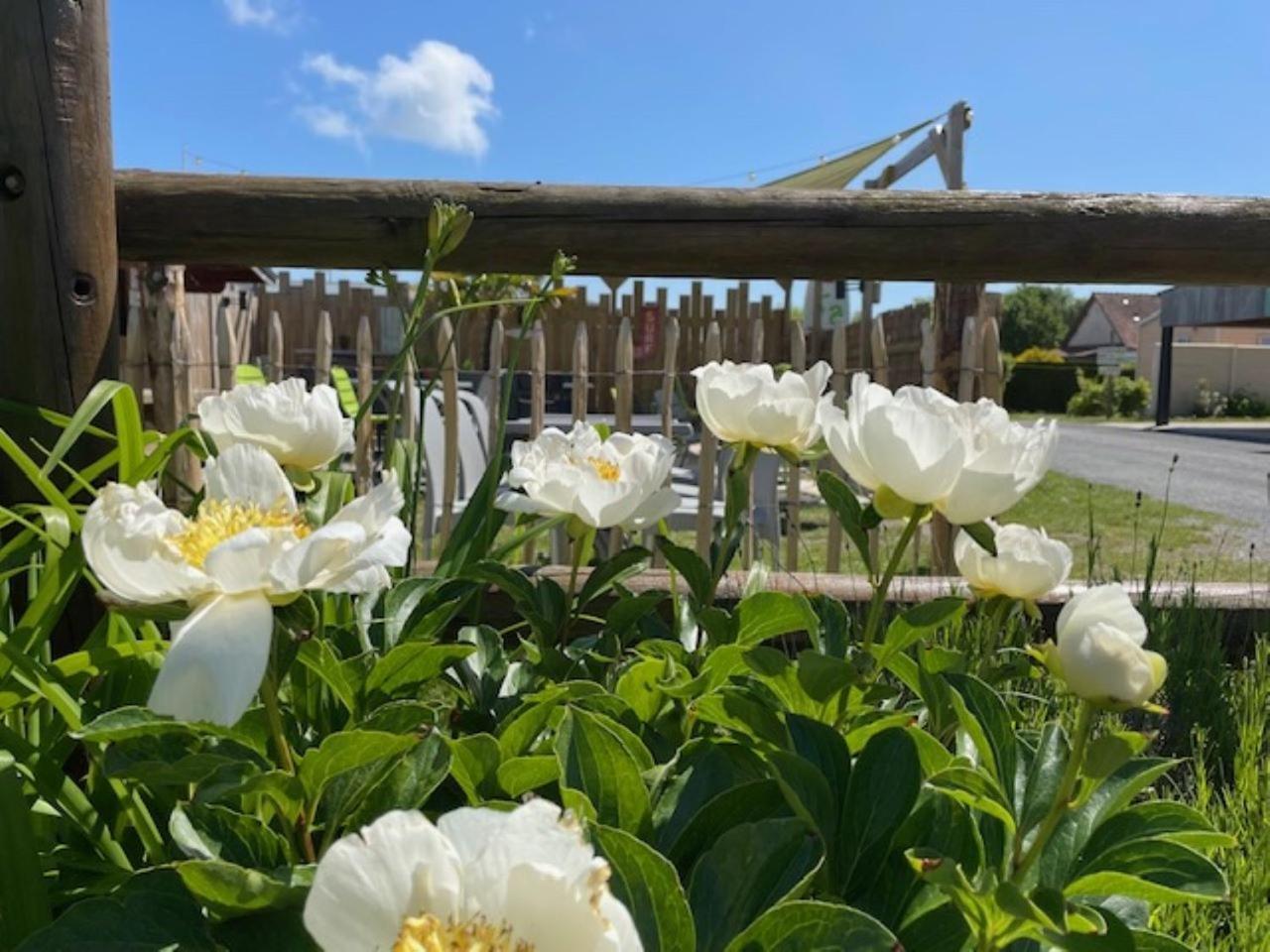 Le Clos Des Genets กองด์ ภายนอก รูปภาพ